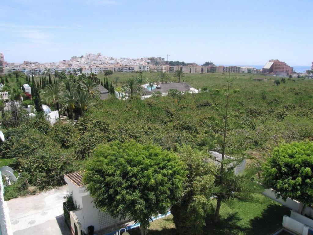 Las Palmeras Almuñécar المظهر الخارجي الصورة