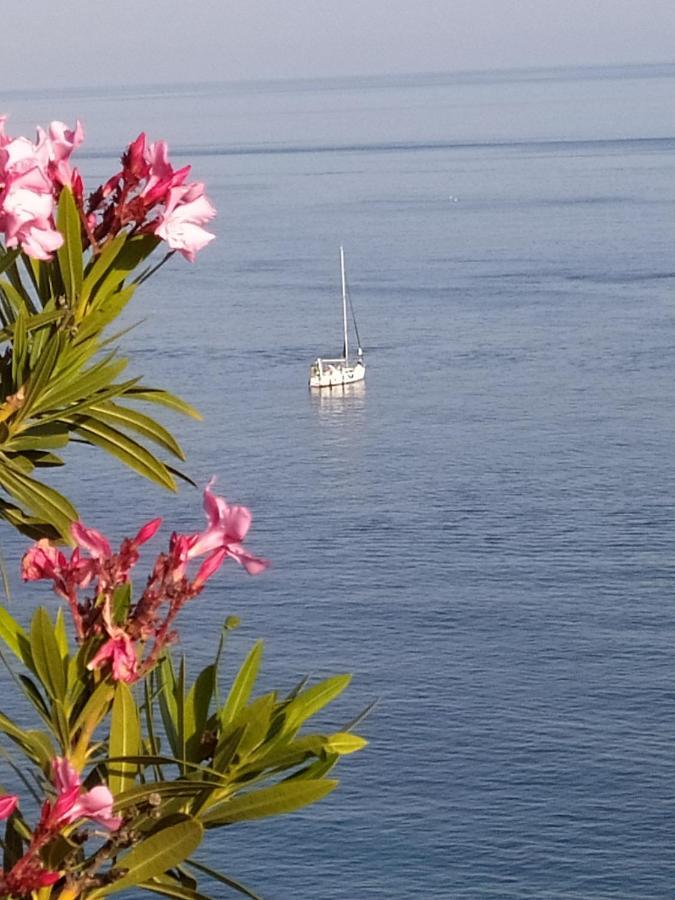 Las Palmeras Almuñécar المظهر الخارجي الصورة
