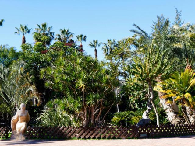 Las Palmeras Almuñécar المظهر الخارجي الصورة